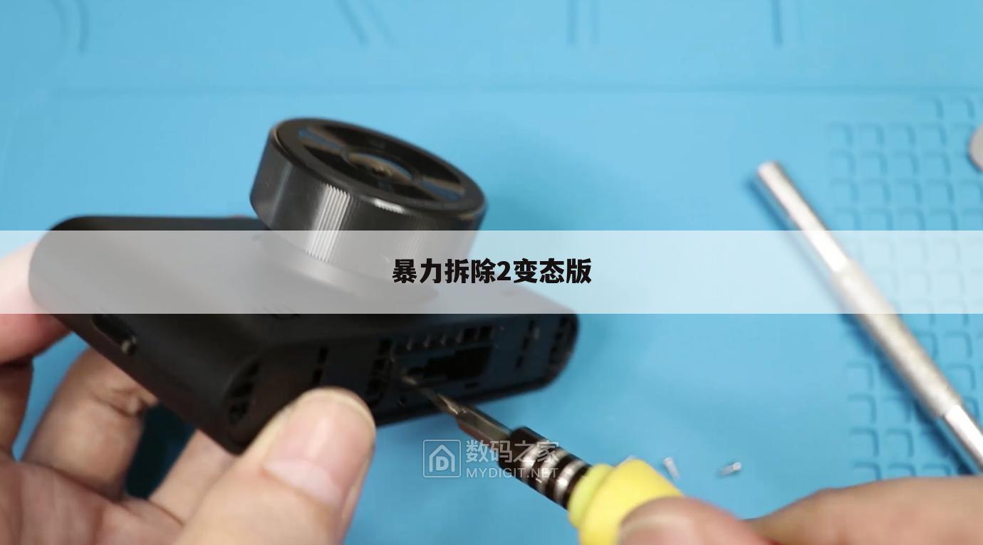 暴力拆除2变态版