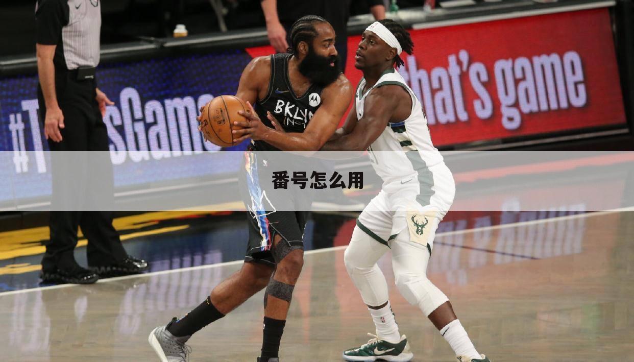 番号怎么用