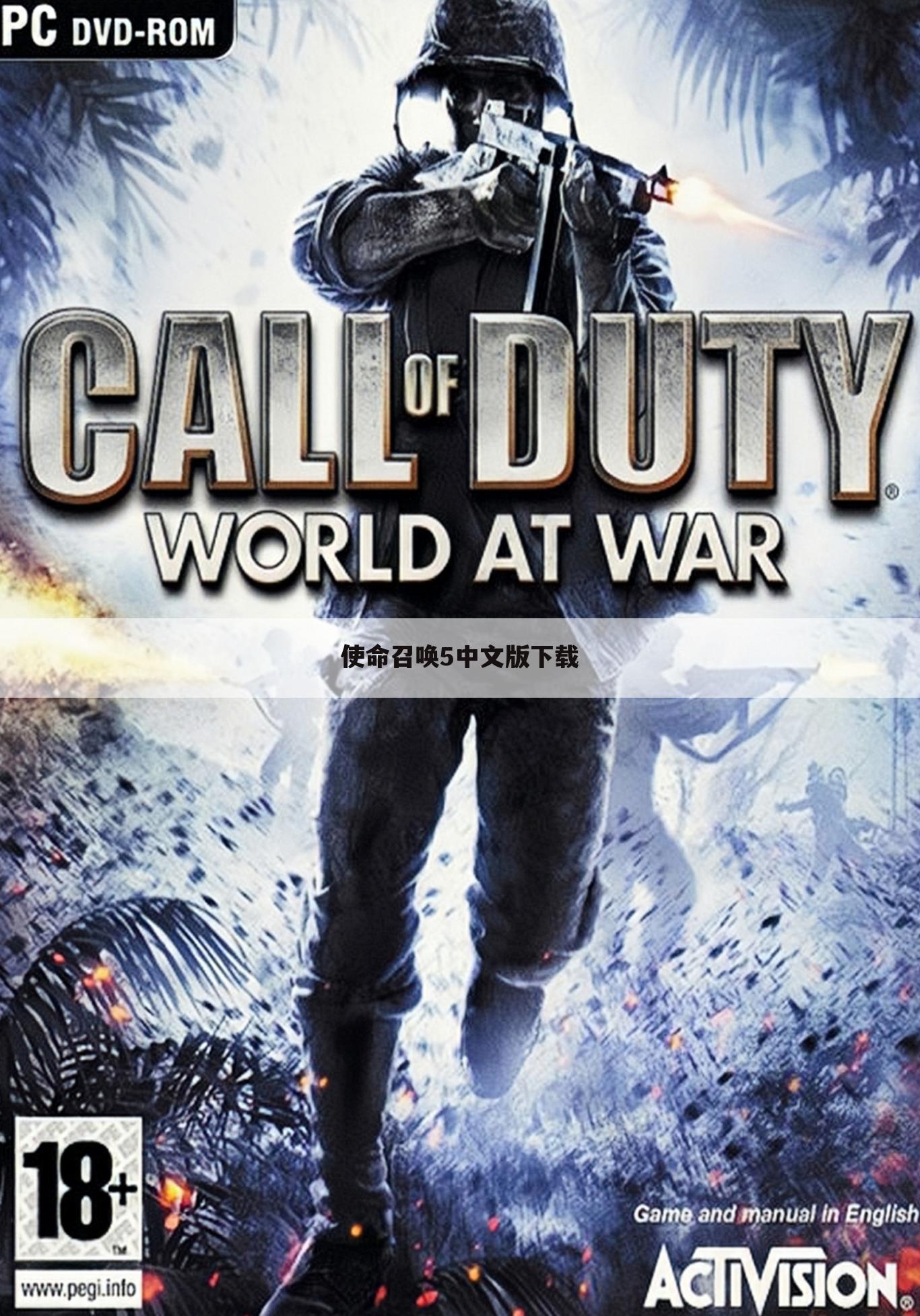 使命召唤5中文版下载