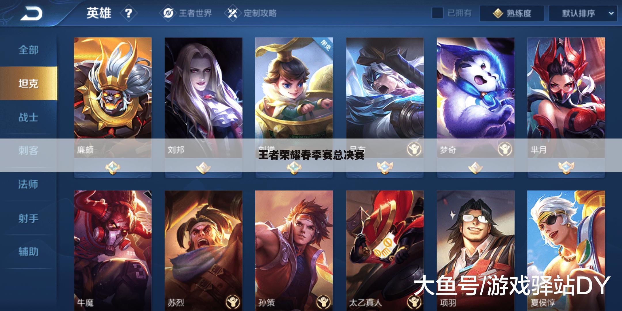 王者荣耀春季赛总决赛