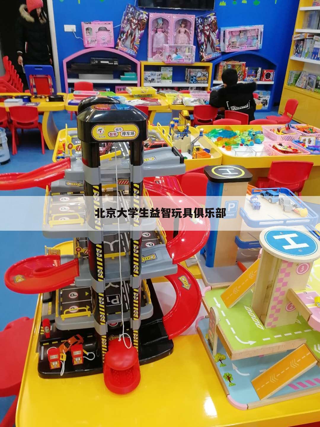 北京大学生益智玩具俱乐部