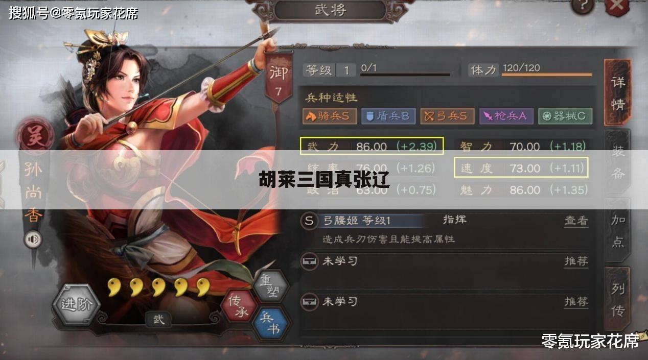 胡莱三国真张辽