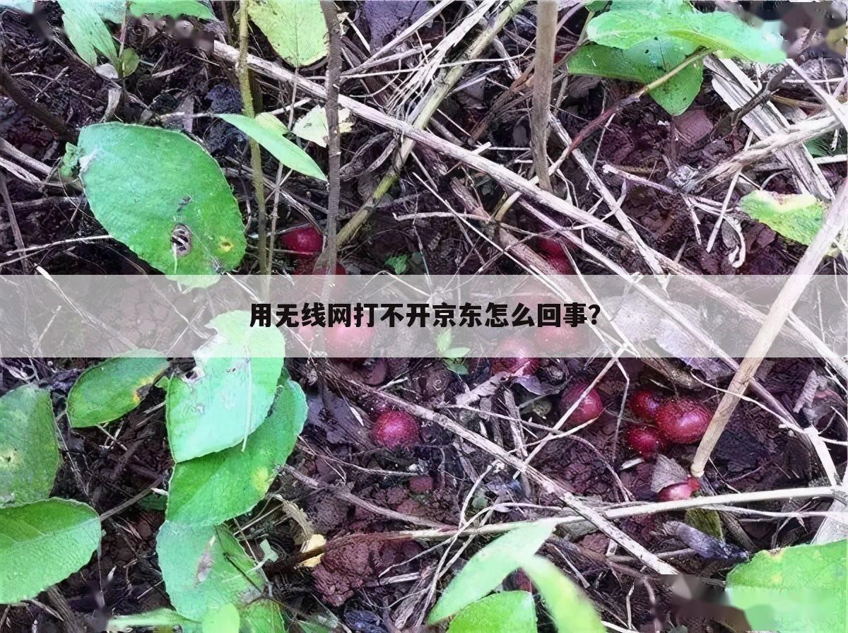 用无线网打不开京东怎么回事?