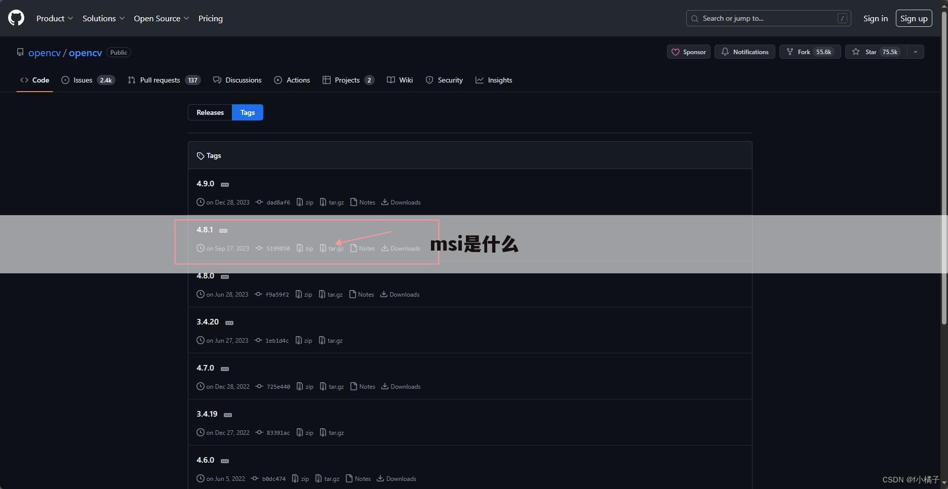 msi是什么