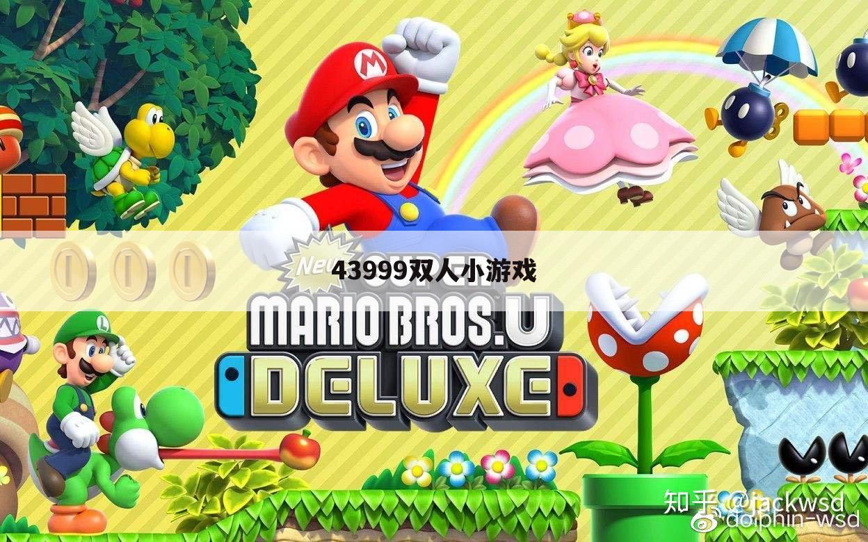 43999双人小游戏