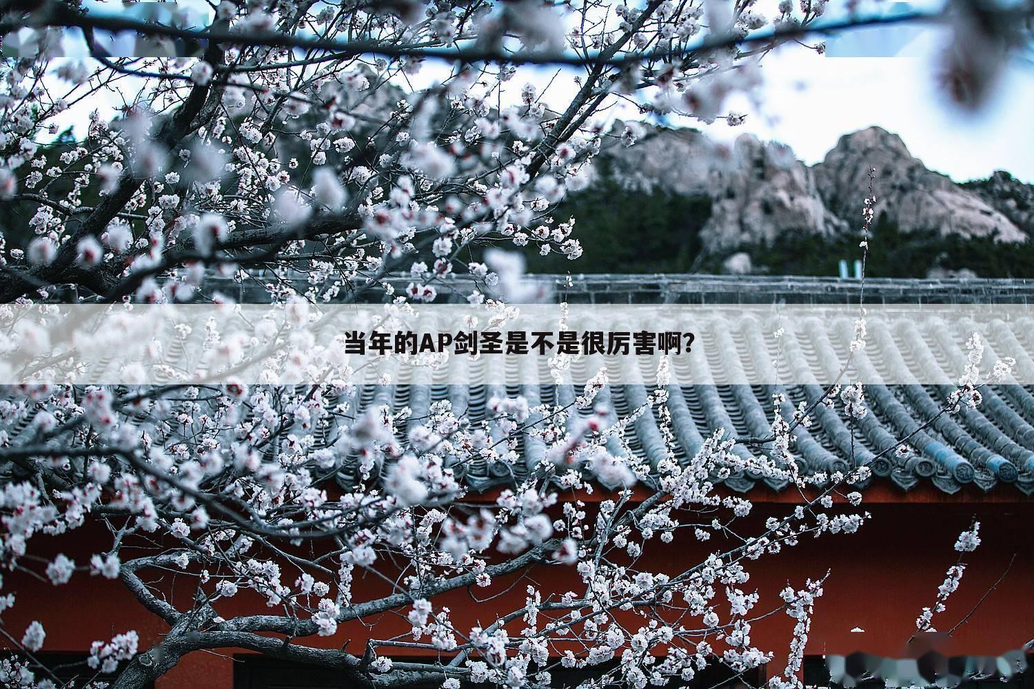 当年的AP剑圣是不是很厉害啊？
