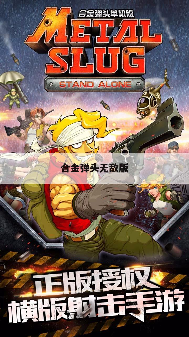 合金弹头无敌版