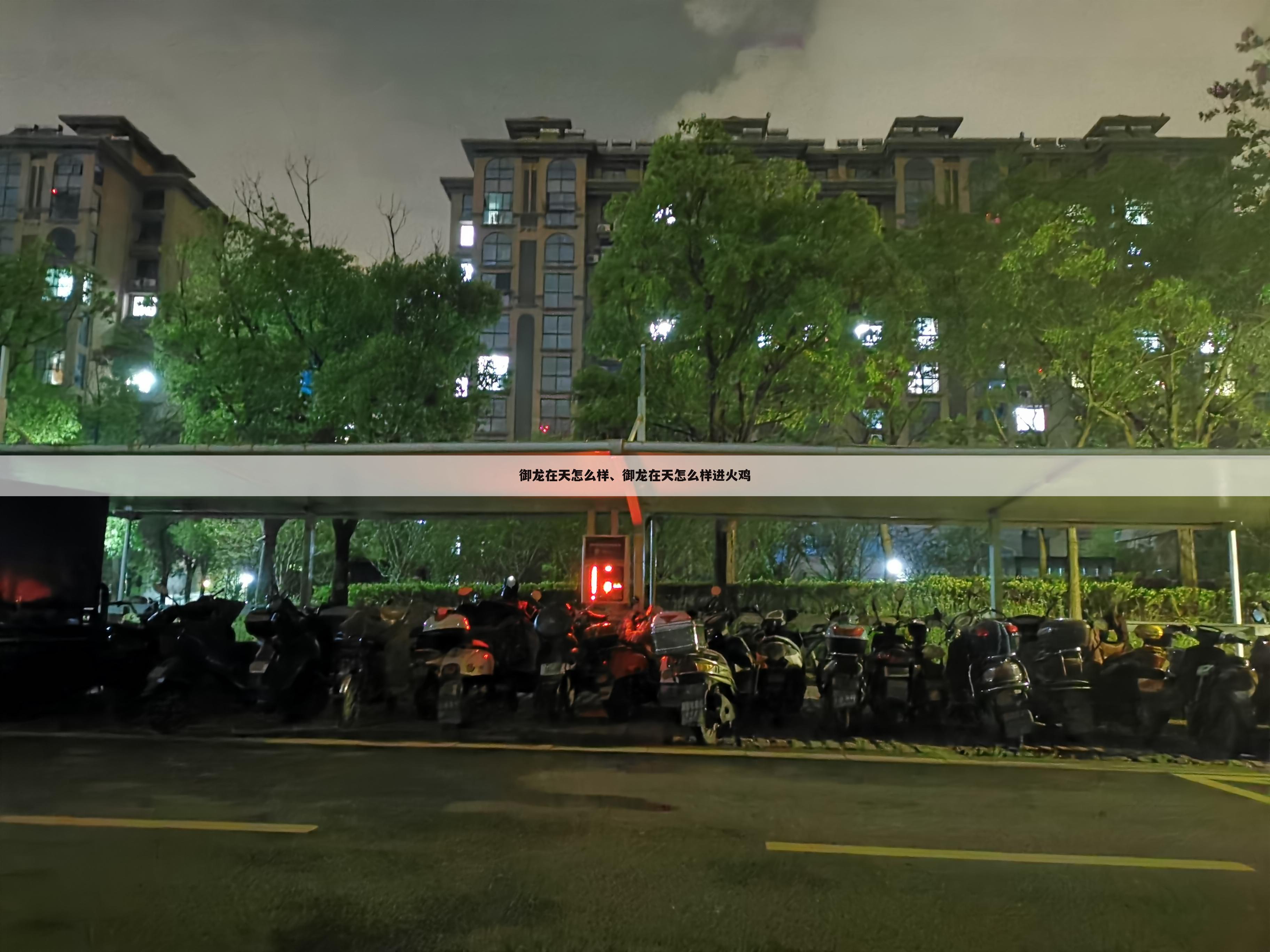 御龙在天怎么样、御龙在天怎么样进火鸡