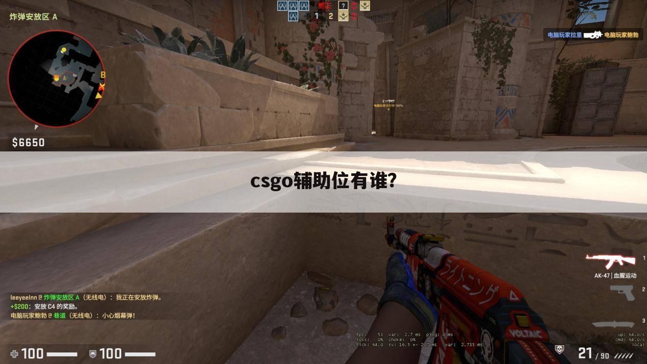 csgo辅助位有谁?