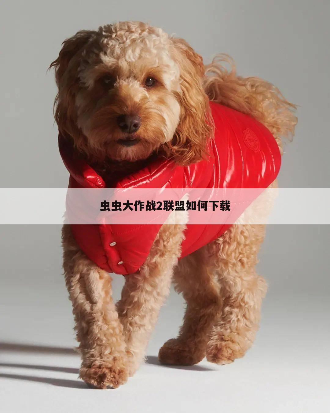 虫虫大作战2联盟如何下载