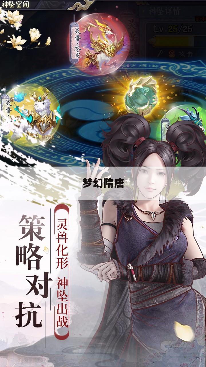 梦幻隋唐