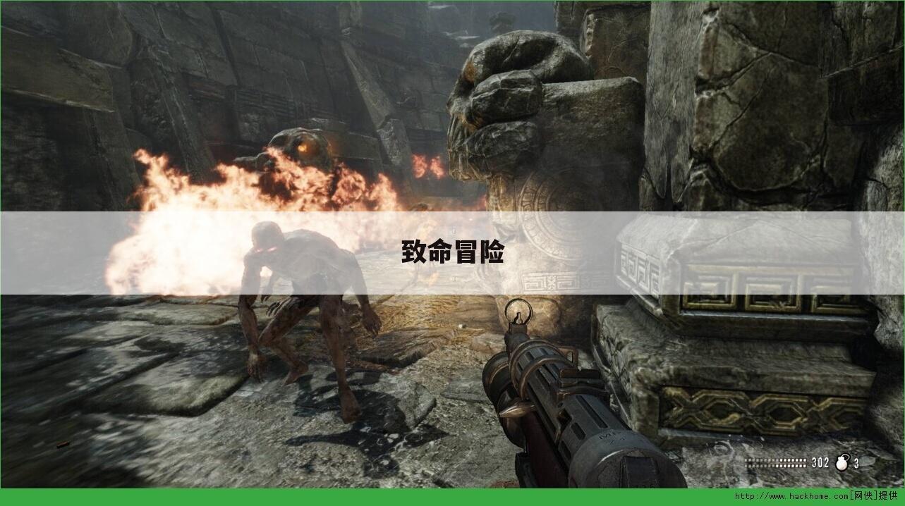 致命冒险