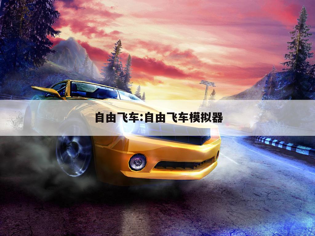 自由飞车:自由飞车模拟器