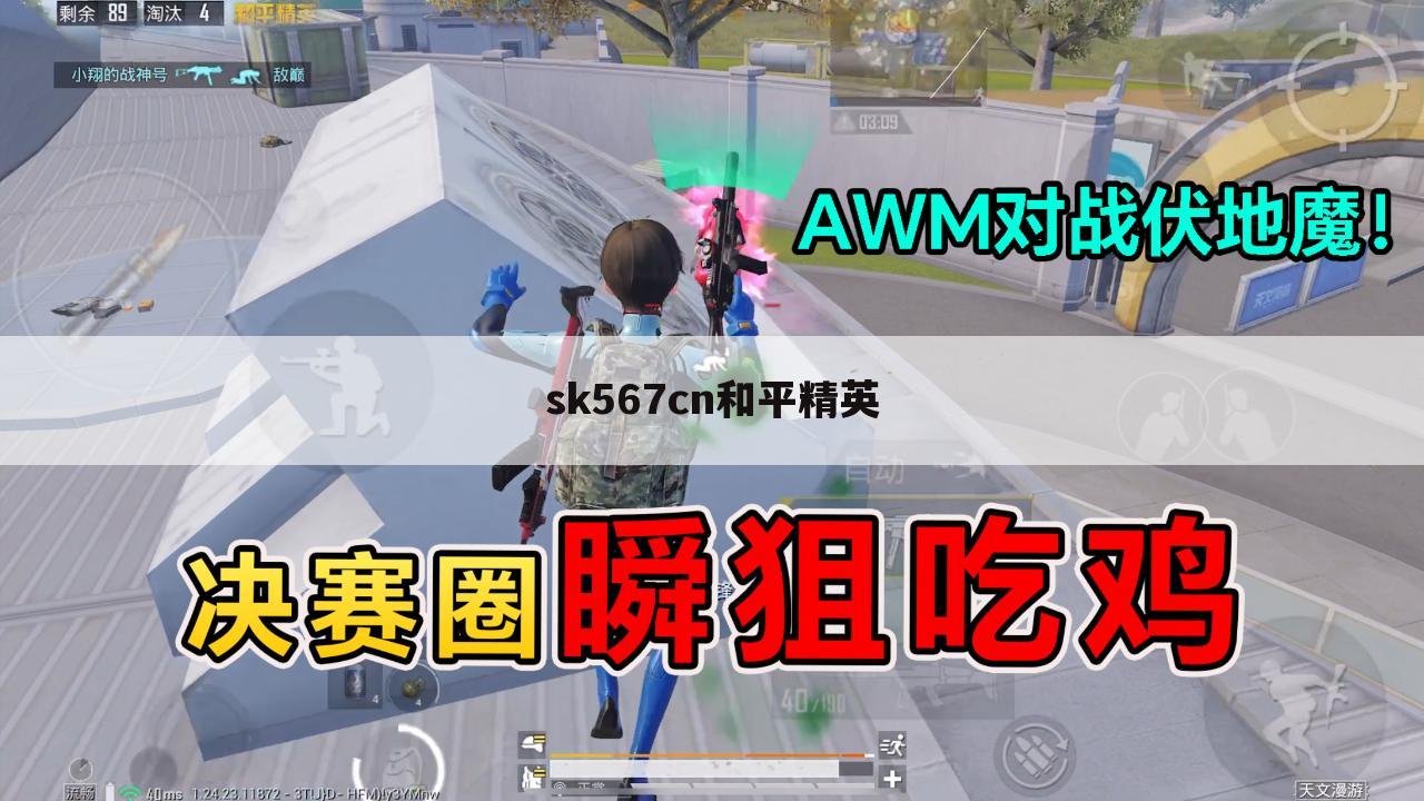 sk567cn和平精英