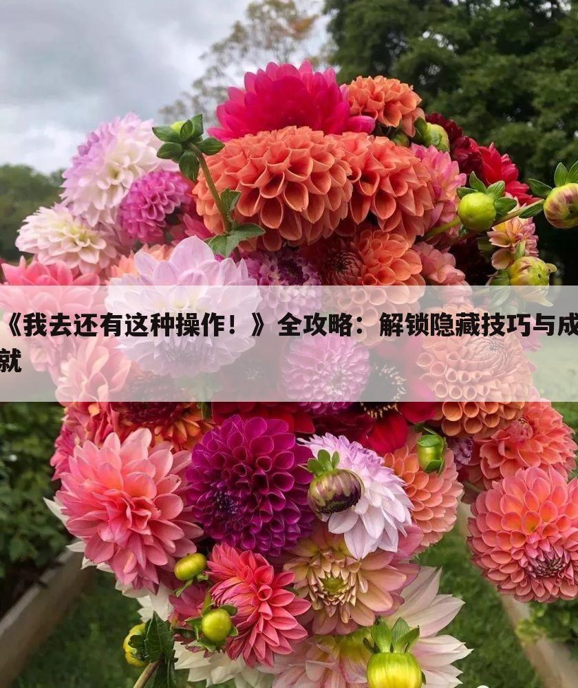 《我去还有这种操作！》全攻略：解锁隐藏技巧与成就