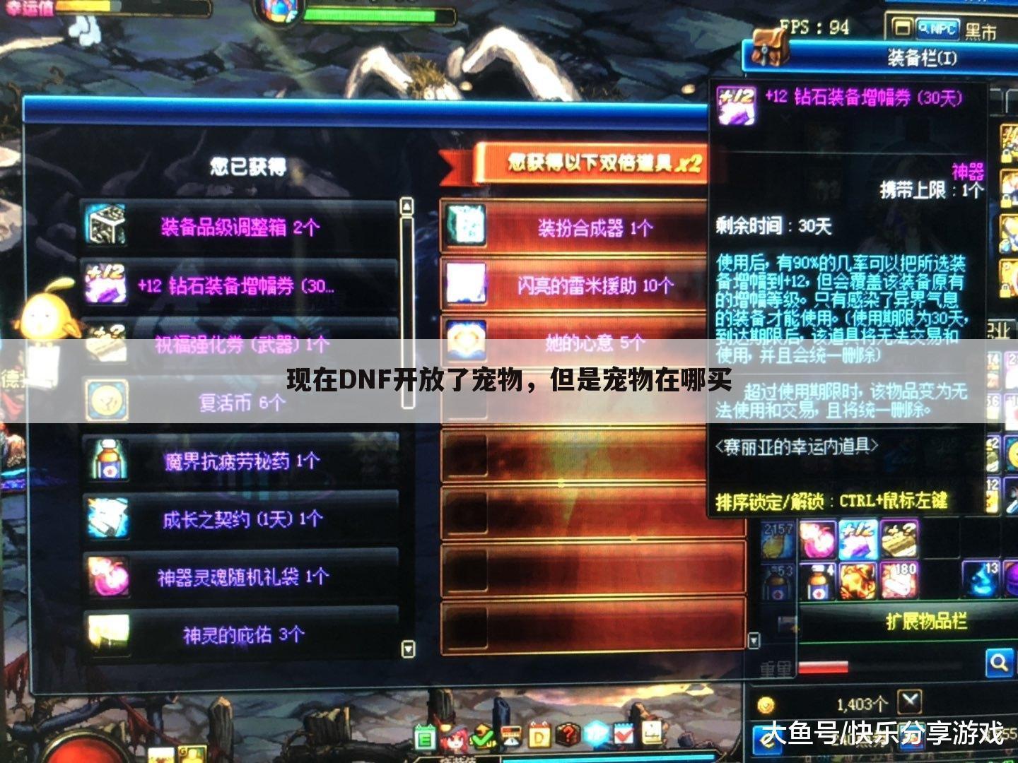 现在DNF开放了宠物,但是宠物在哪买