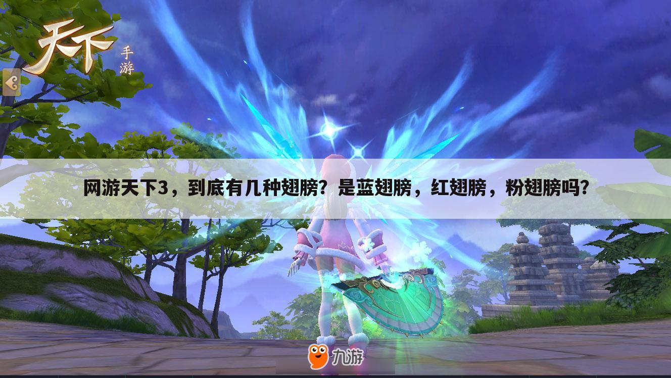 网游天下3,到底有几种翅膀?是蓝翅膀,红翅膀,粉翅膀吗?
