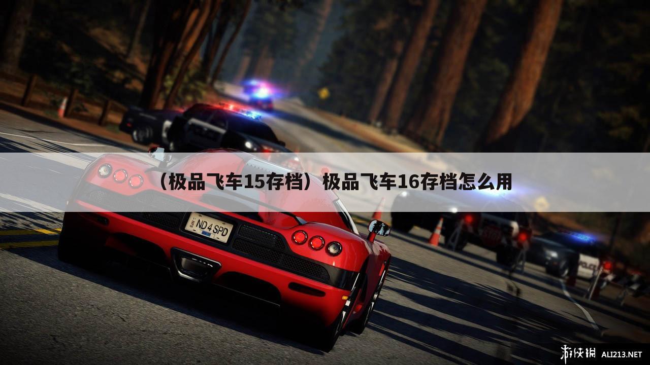 （极品飞车15存档）极品飞车16存档怎么用