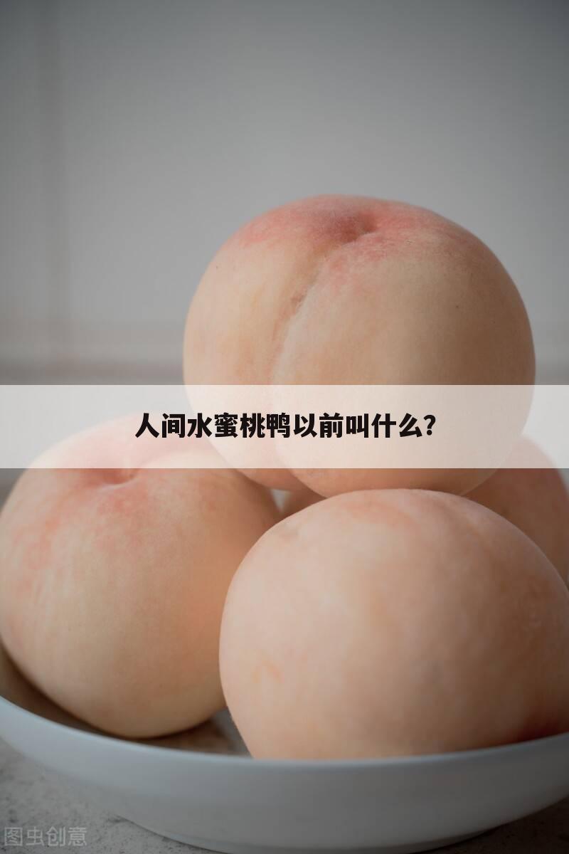 人间水蜜桃鸭以前叫什么?