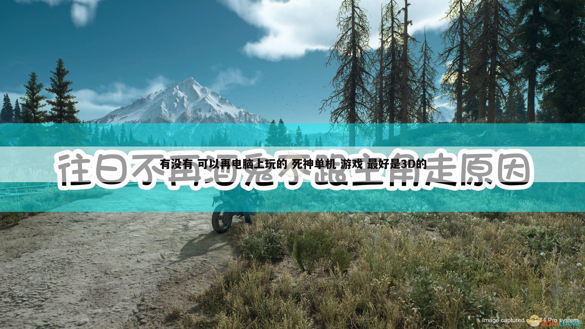 有没有 可以再电脑上玩的 死神单机 游戏 最好是3D的