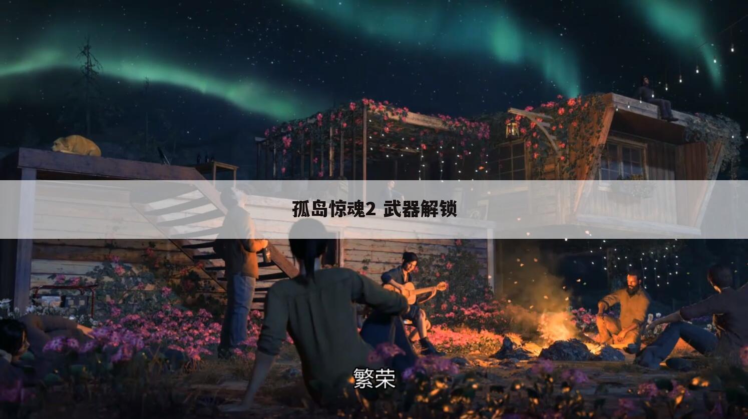 孤岛惊魂2 武器解锁