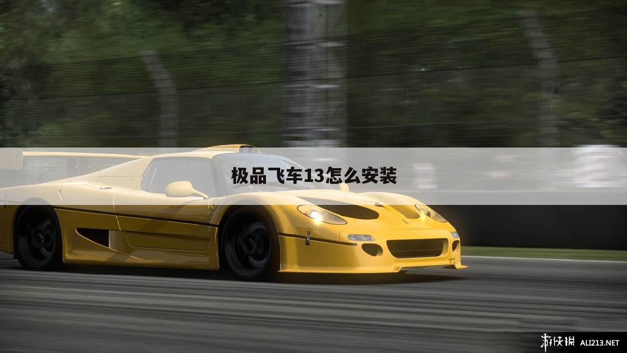 极品飞车13怎么安装