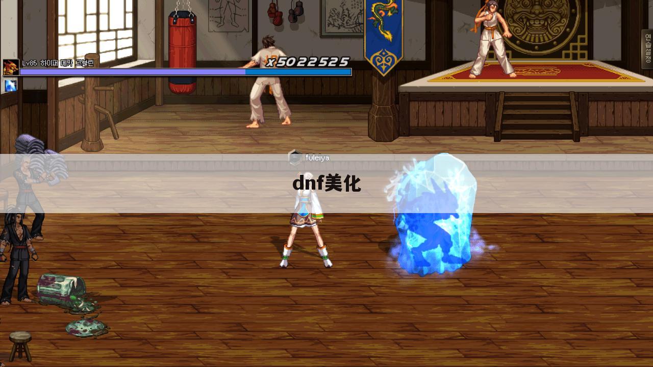 dnf美化