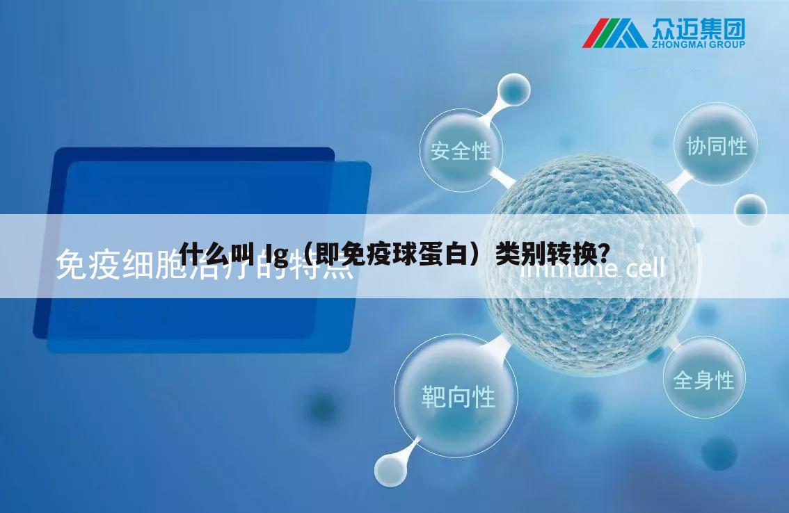 什么叫 Ig（即免疫球蛋白）类别转换？