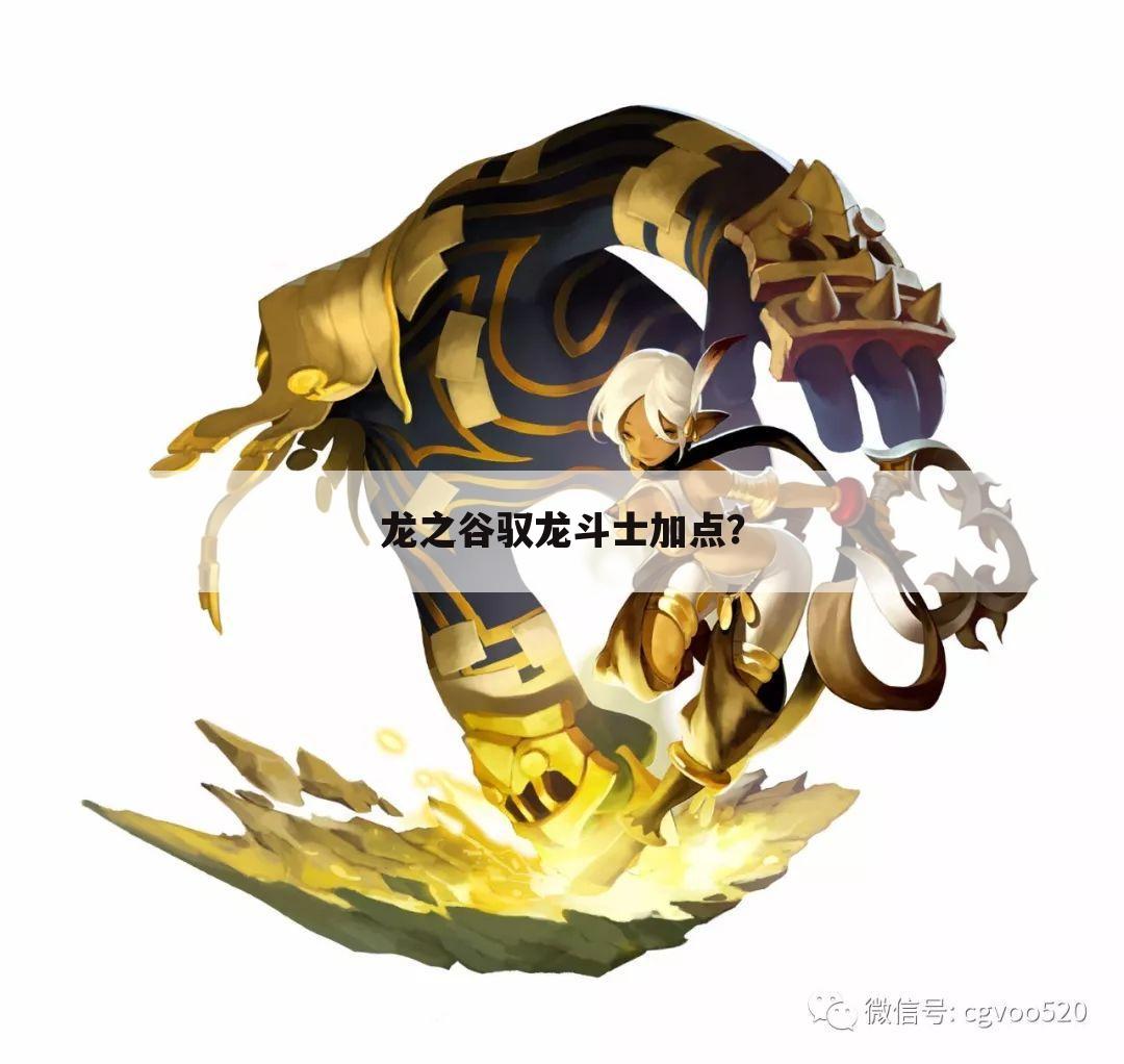 龙之谷驭龙斗士加点?