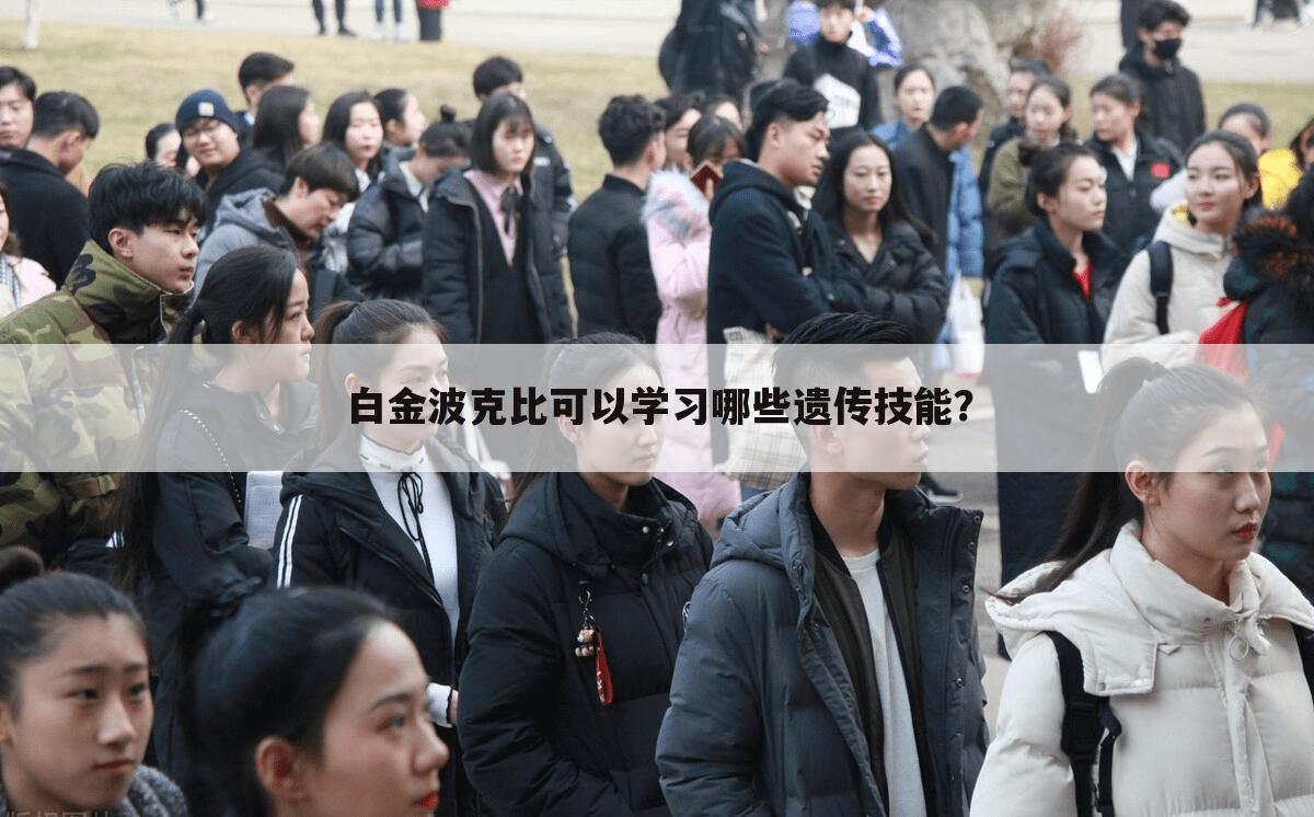 白金波克比可以学习哪些遗传技能?