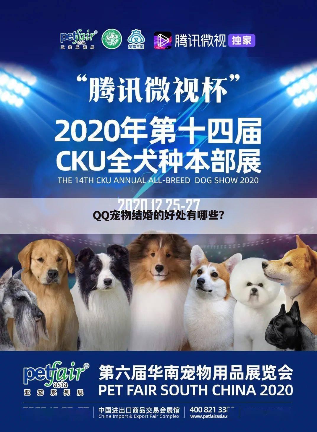 QQ宠物结婚的好处有哪些?