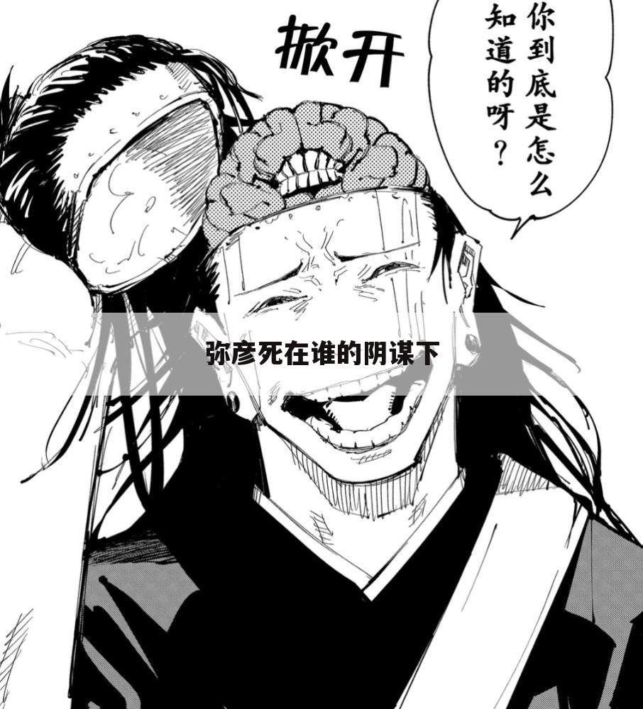 弥彦死在谁的阴谋下