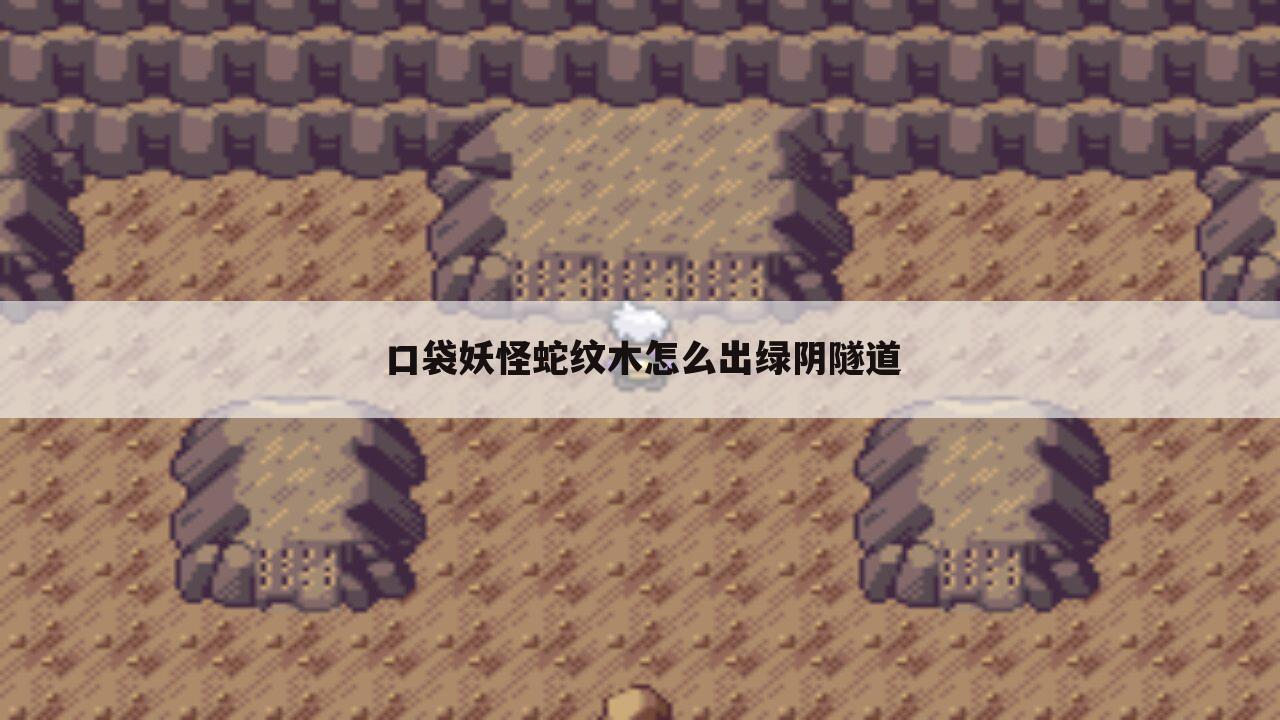 口袋妖怪蛇纹木怎么出绿阴隧道
