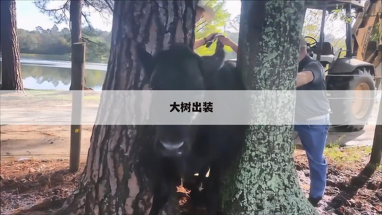 大树出装