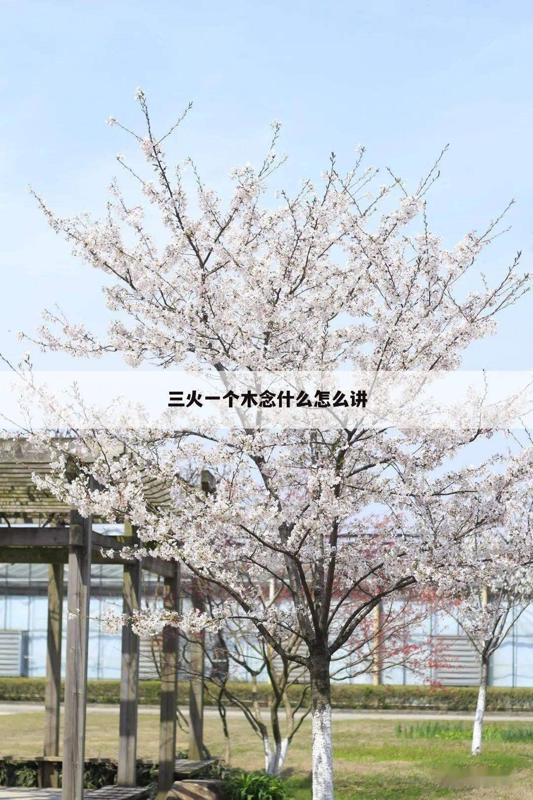 三火一个木念什么怎么讲