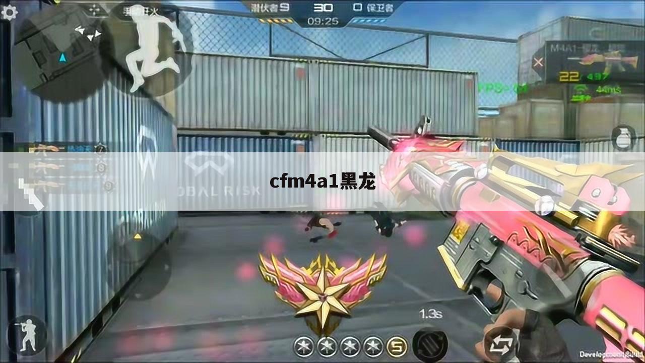 cfm4a1黑龙