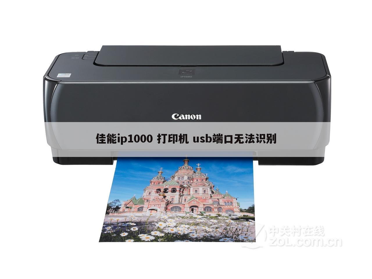 佳能ip1000 打印机 usb端口无法识别