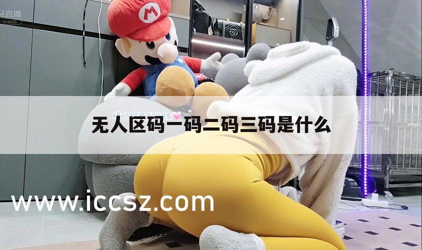 无人区码一码二码三码是什么
