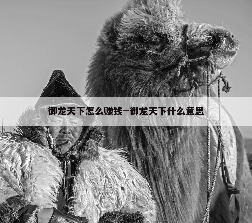 御龙天下怎么赚钱--御龙天下什么意思