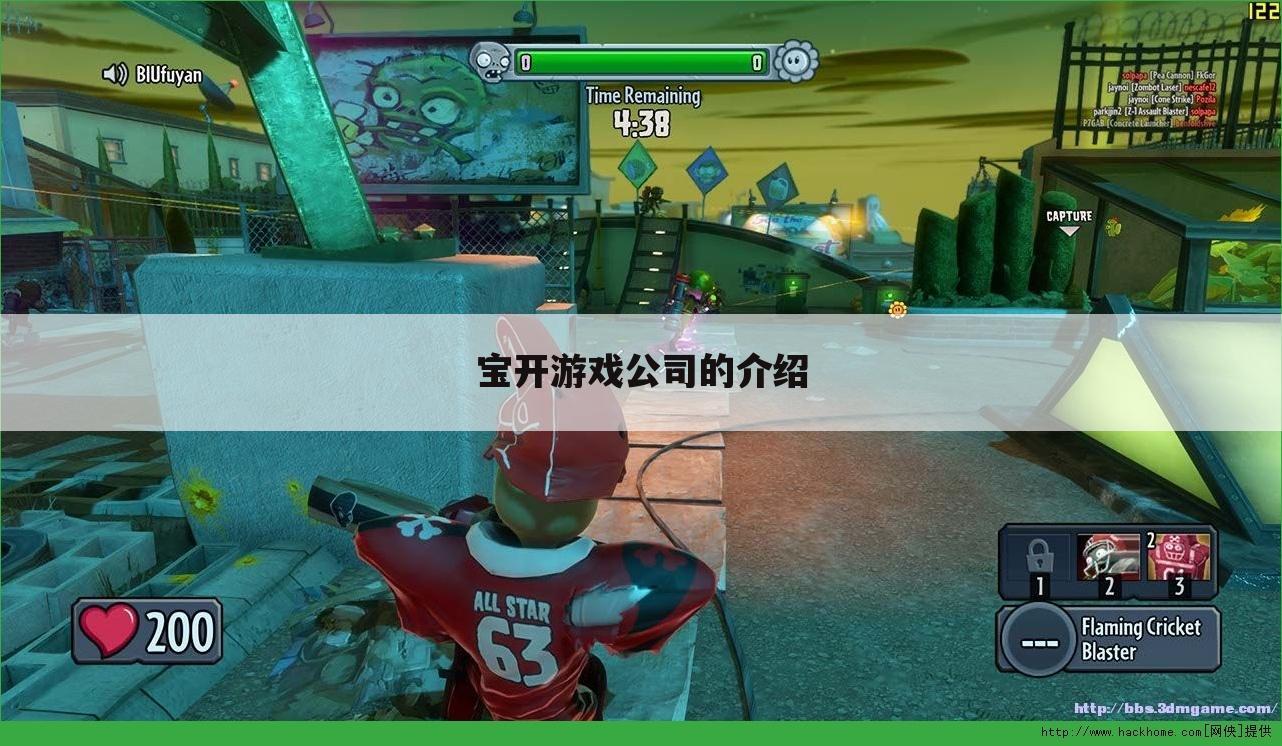 宝开游戏公司的介绍