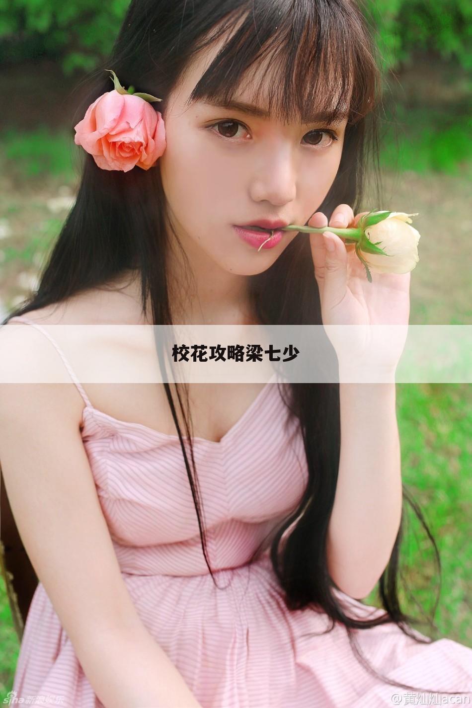 校花攻略梁七少