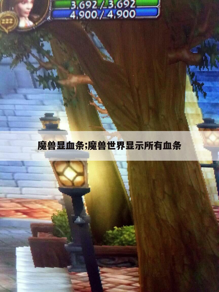魔兽显血条;魔兽世界显示所有血条