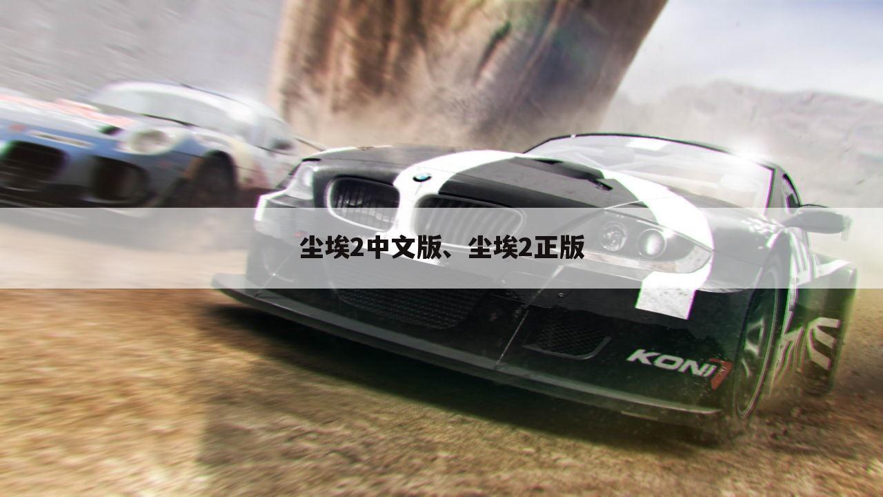 尘埃2中文版、尘埃2正版