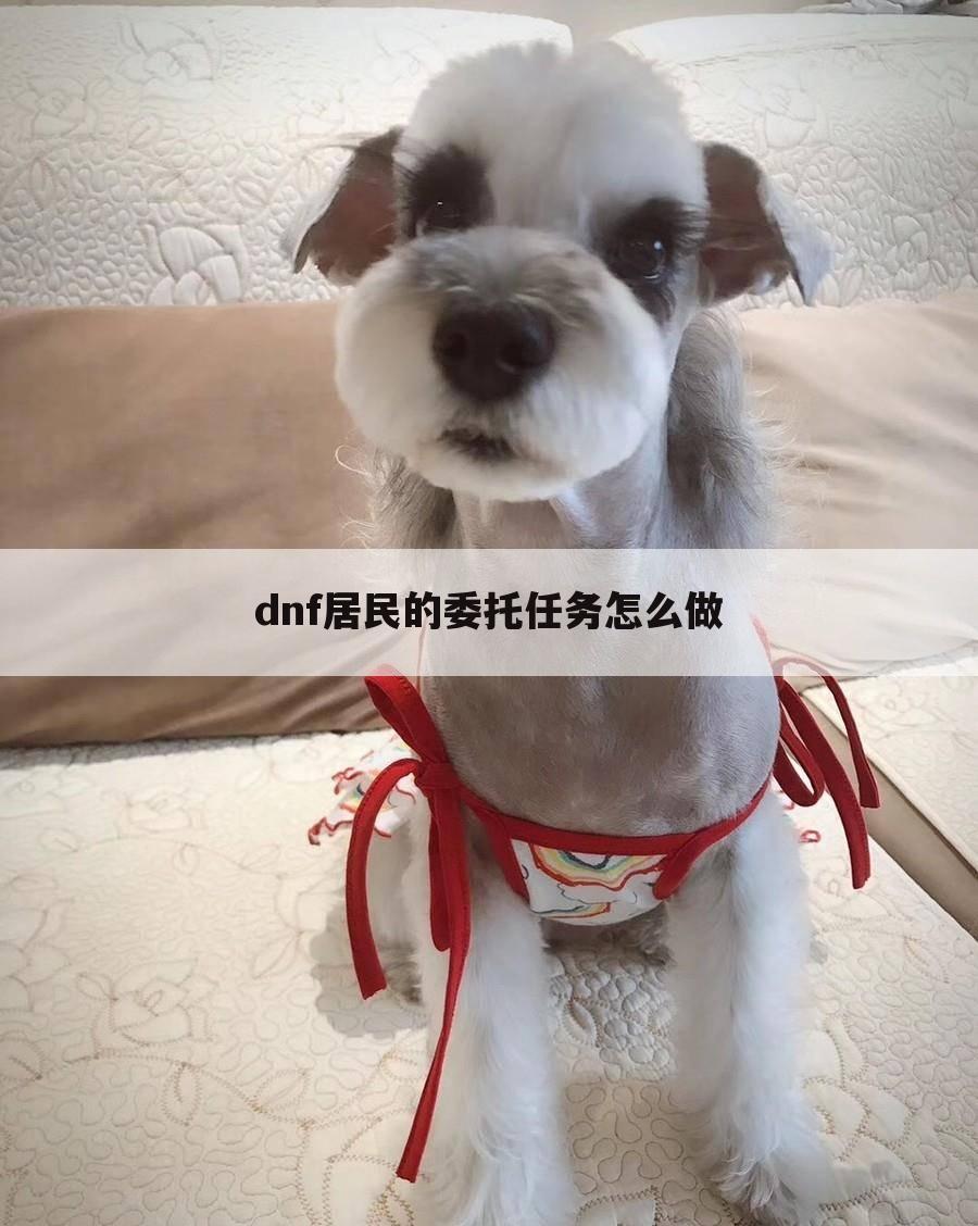 dnf居民的委托任务怎么做