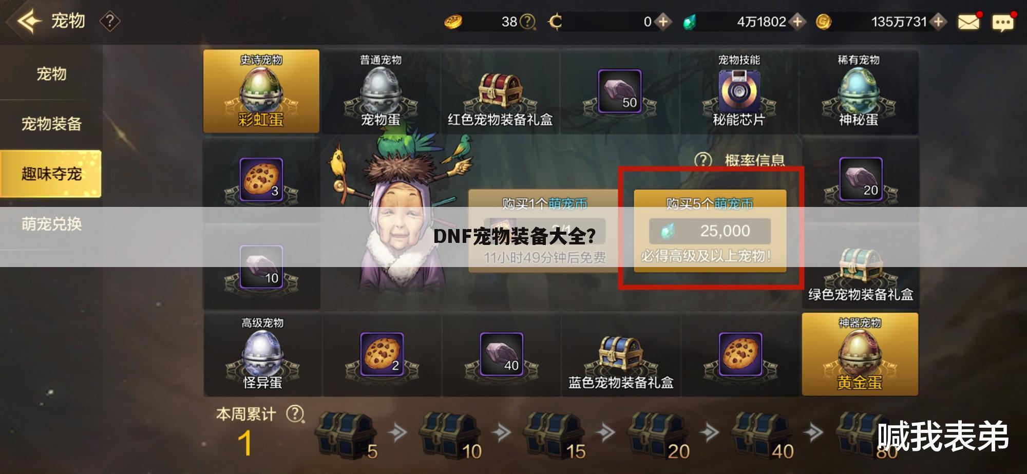 DNF宠物装备大全?