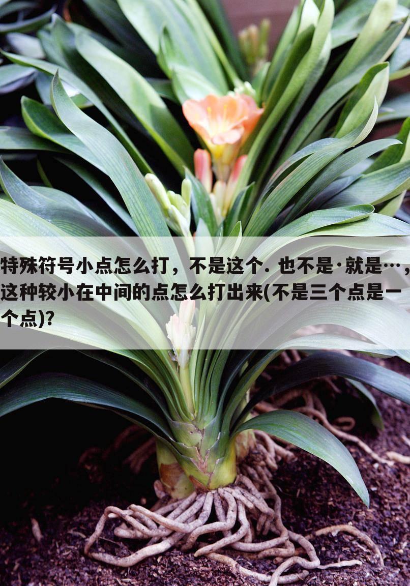 特殊符号小点怎么打,不是这个. 也不是·就是…,这种较小在中间的点怎么打出来(不是三个点是一个点)?