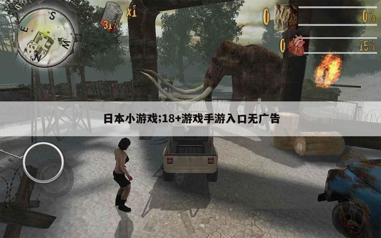 日本小游戏;18+游戏手游入口无广告