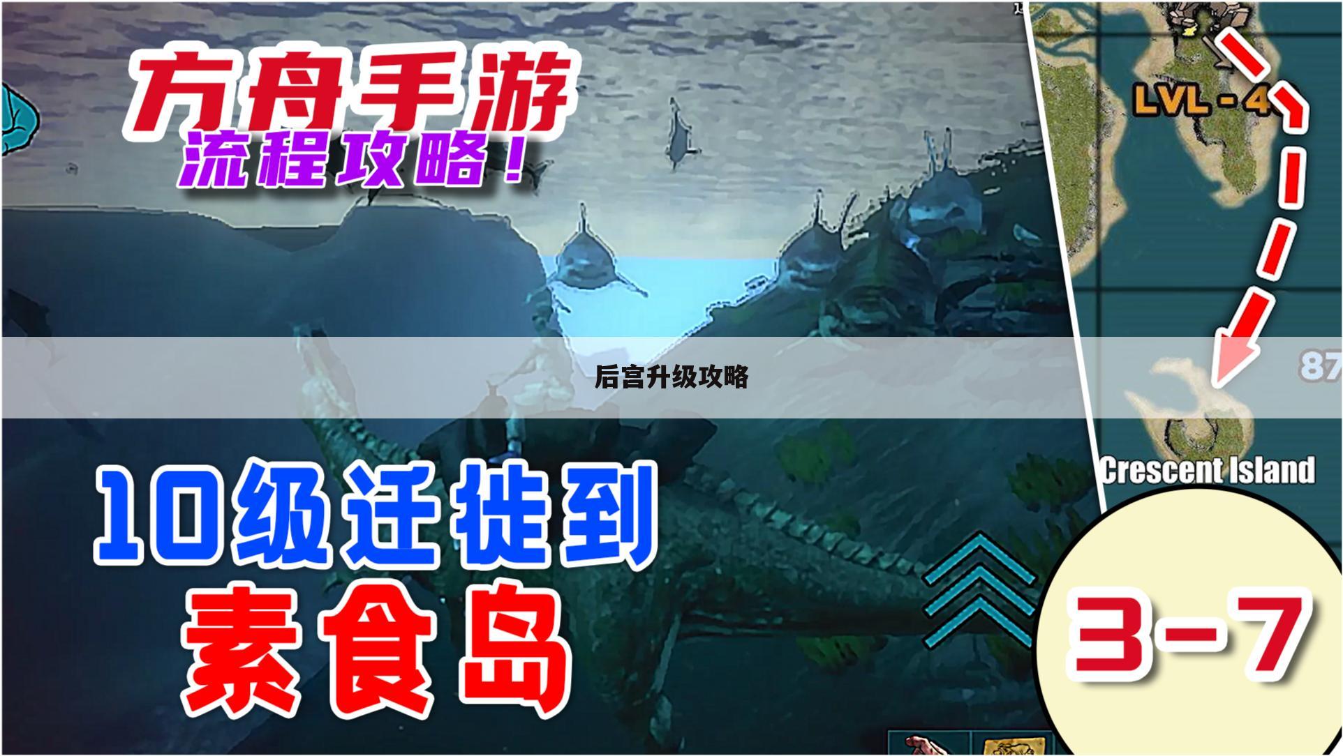 后宫升级攻略