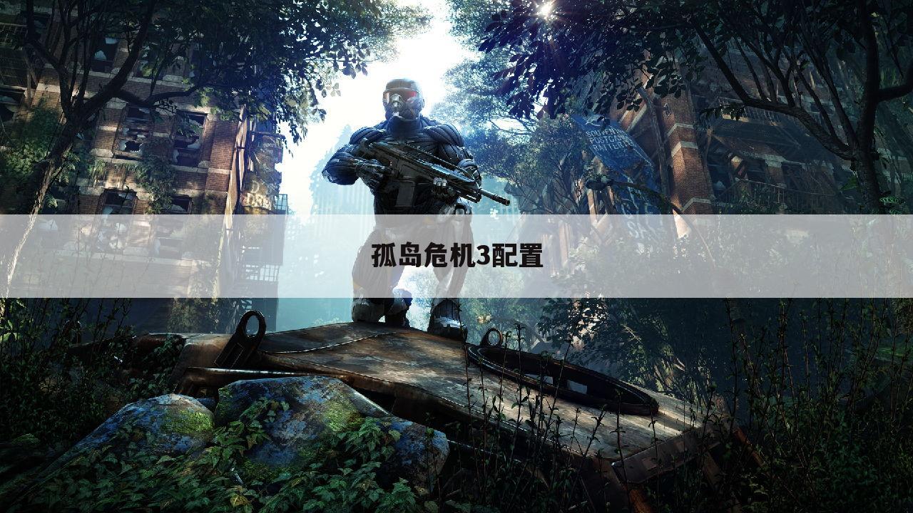 孤岛危机3配置
