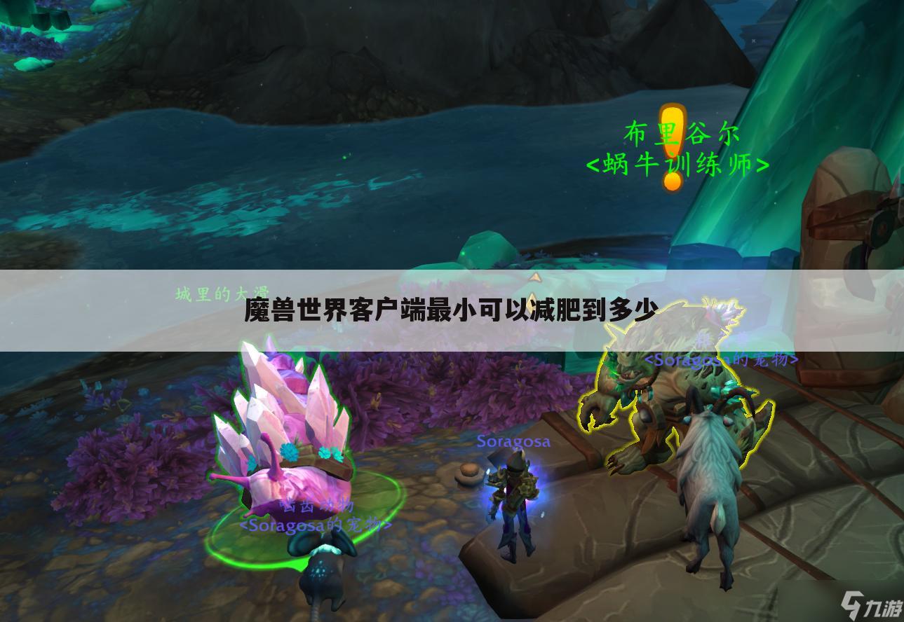 魔兽世界客户端最小可以减肥到多少